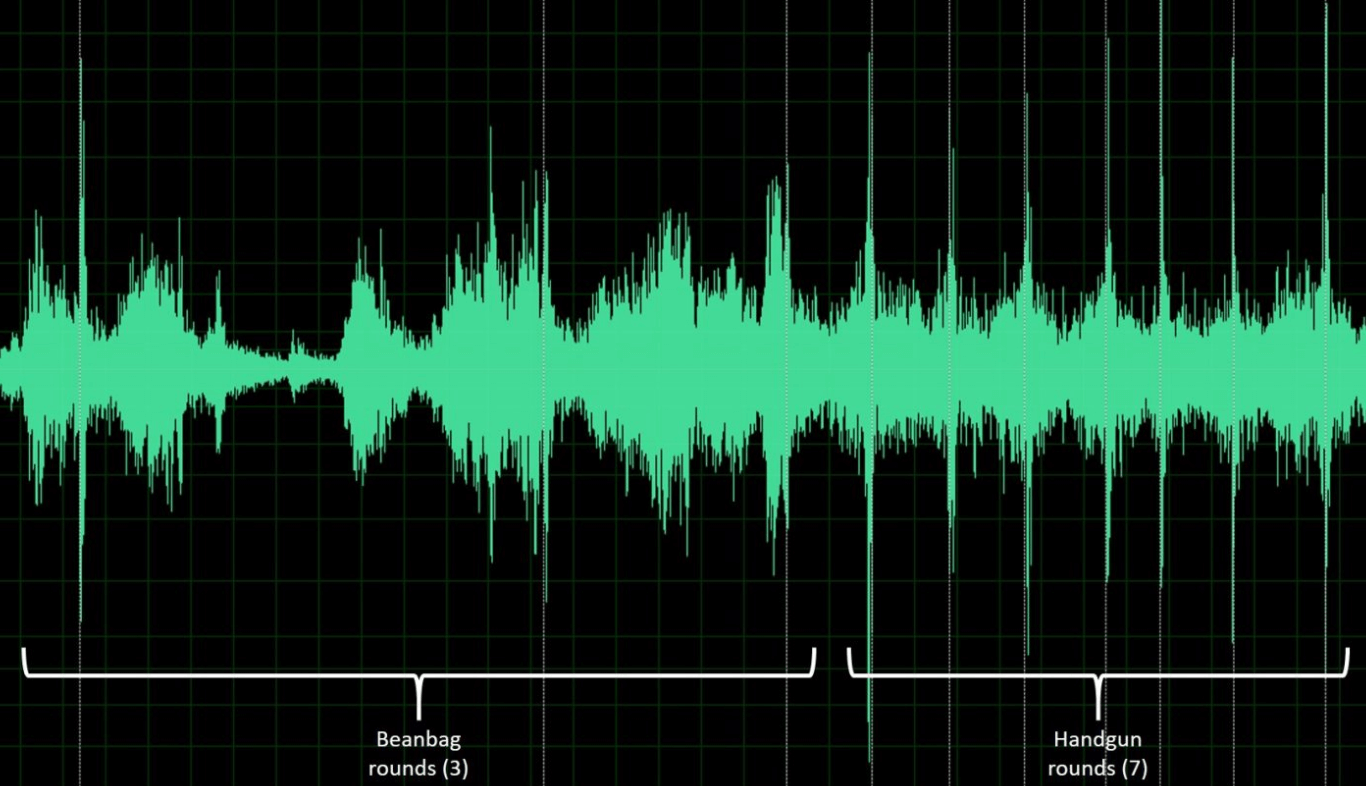 audio waves annotated in different categories