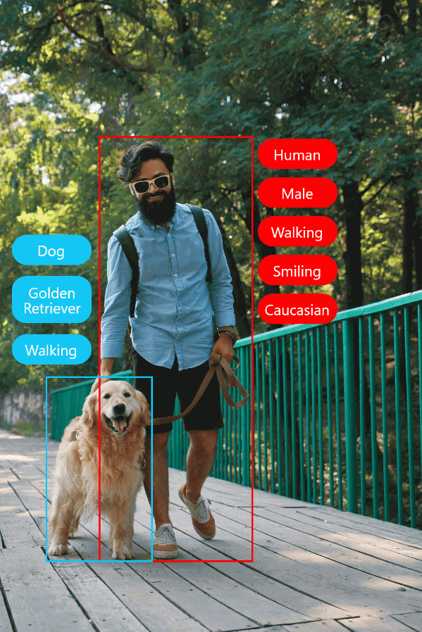 a man walking his dog with the image containing annotations