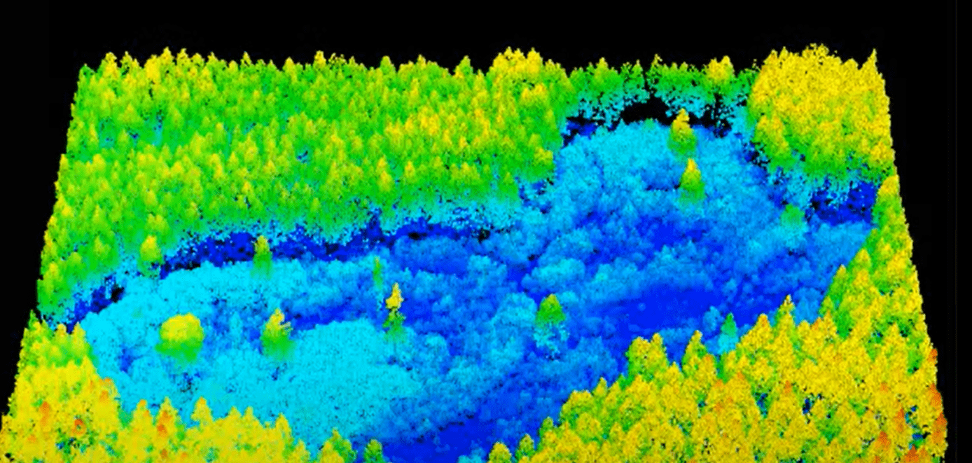 LiDAR image forest area annotated for computer vision and artificial intelligence use case 
